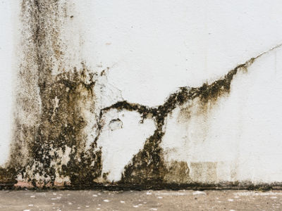 Humidité sur les murs d'une cave